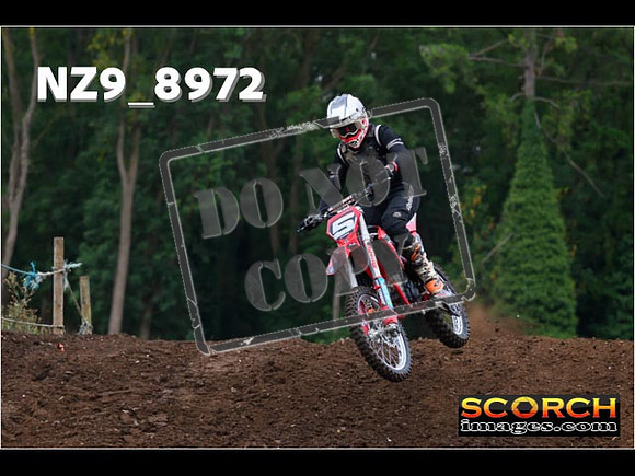 Experts-008