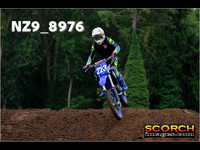 Experts-012