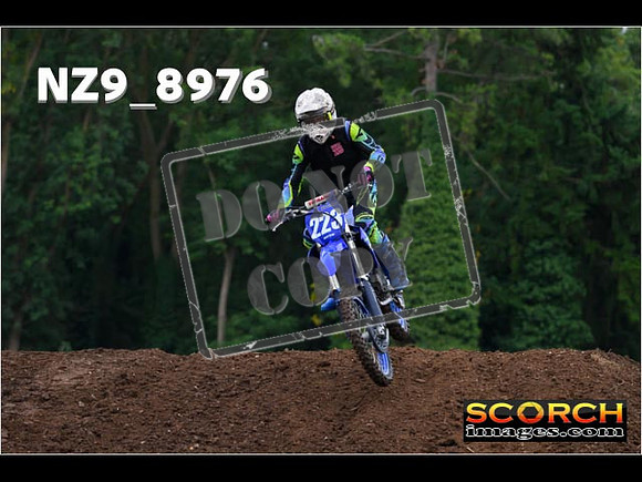 Experts-012