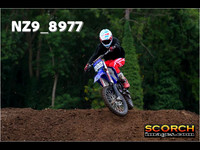 Experts-013