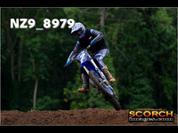 Experts-015
