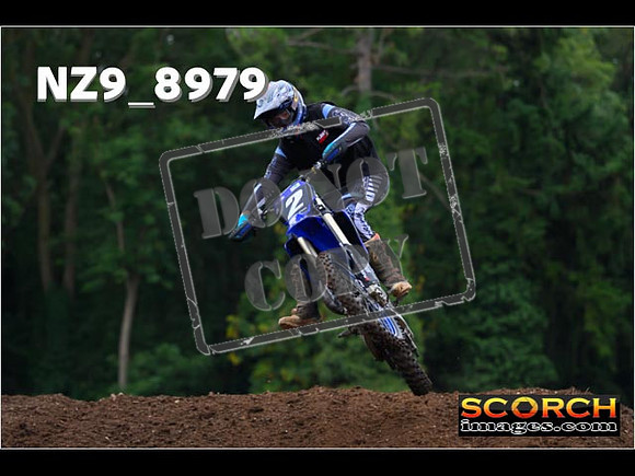 Experts-015