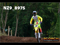 Experts-011