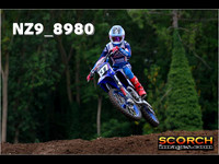 Experts-016