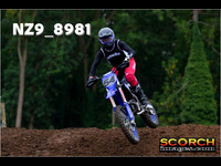 Experts-017