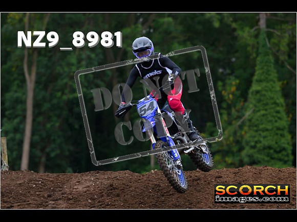 Experts-017