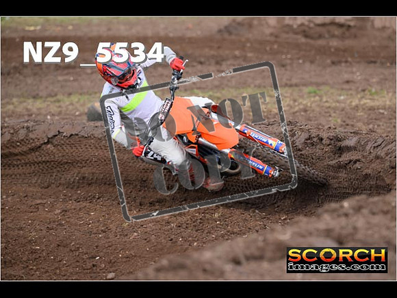 Experts-043