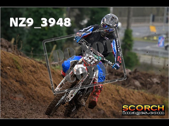Experts-139