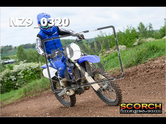 IntersGreen-265