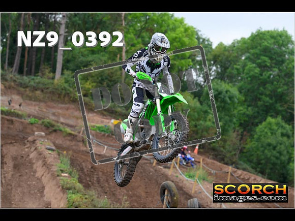 Experts-020