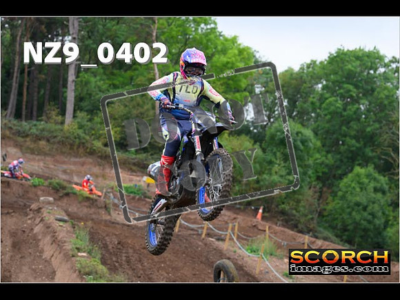 Experts-029