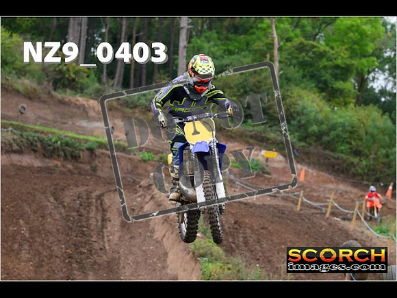 Experts-030