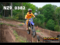 Experts-010