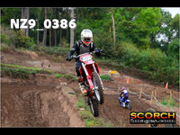 Experts-014