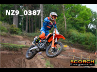 Experts-015