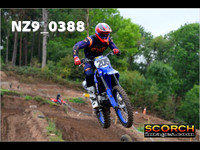 Experts-016
