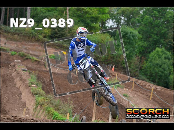 Experts-017