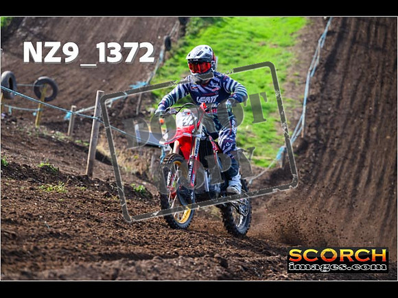 Experts-042