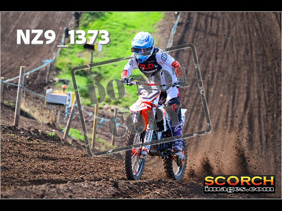 Experts-043