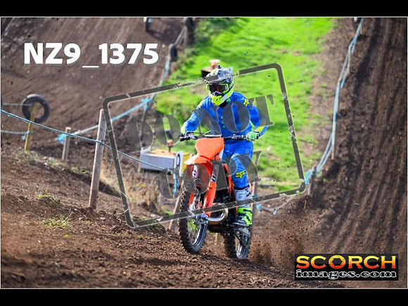 Experts-045