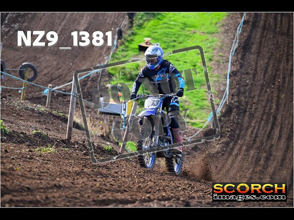 Experts-051