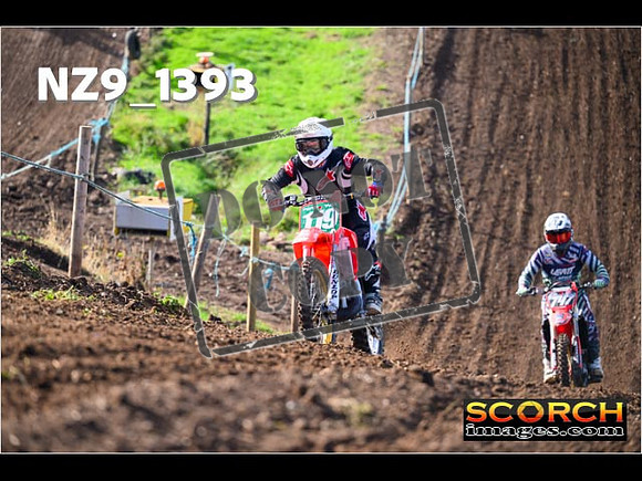 Experts-062