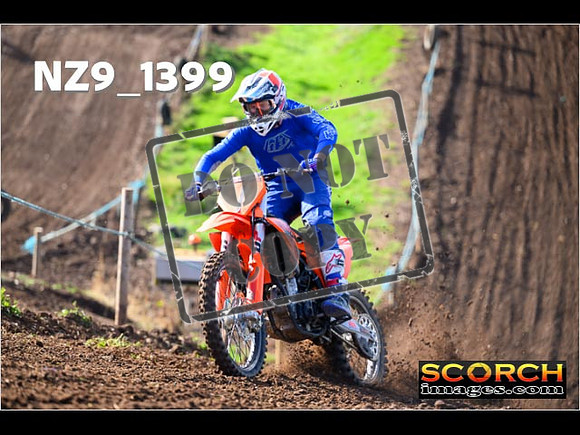 Experts-066