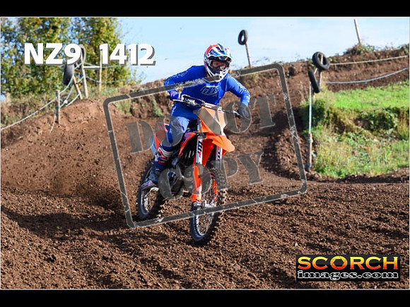 Experts-079