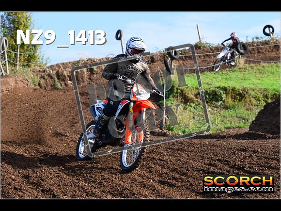 Experts-080