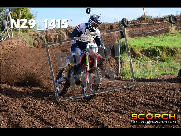 Experts-082