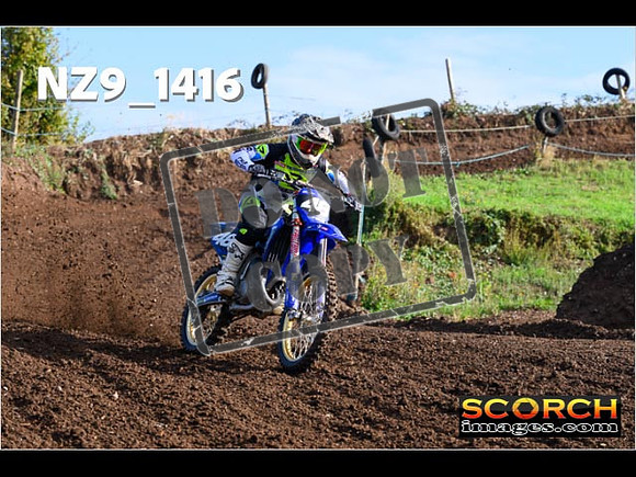 Experts-083