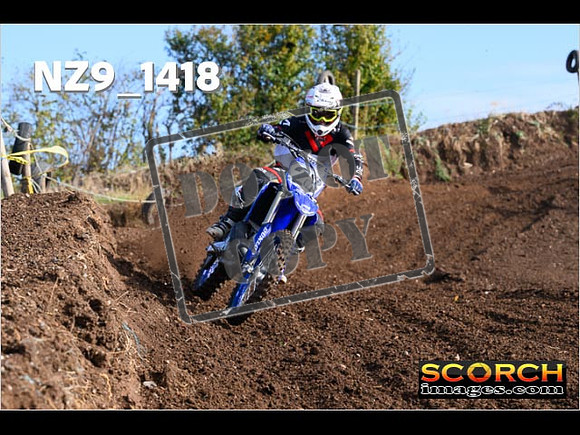Experts-085