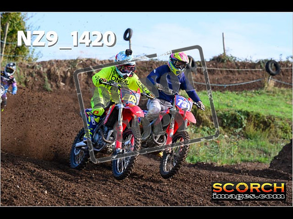 Experts-087