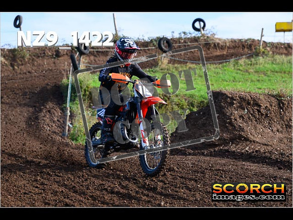 Experts-089