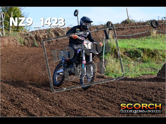 Experts-090