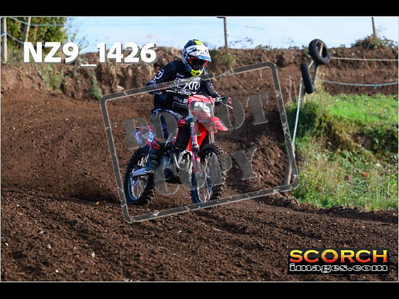 Experts-093