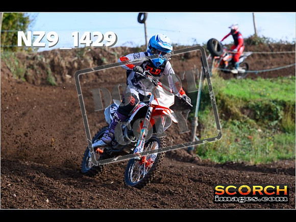 Experts-096