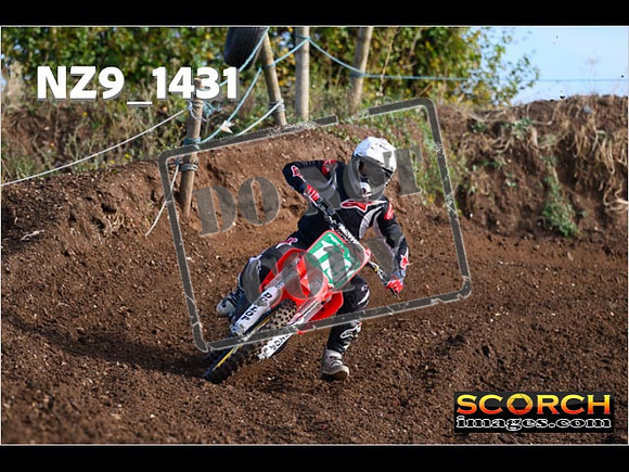Experts-098