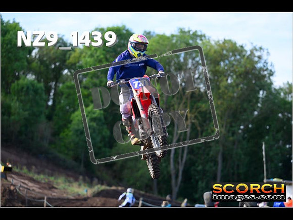 Experts-106