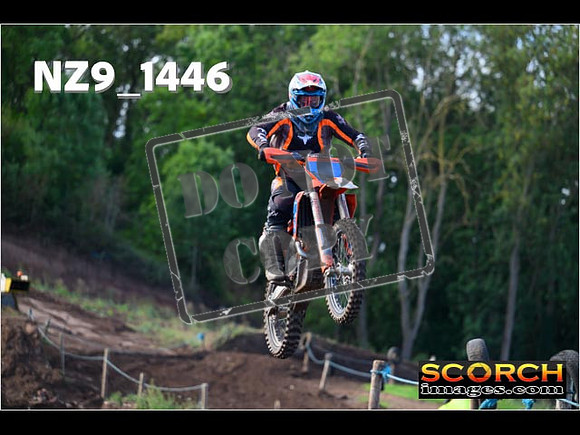 Experts-113