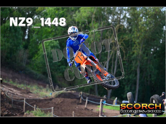 Experts-115