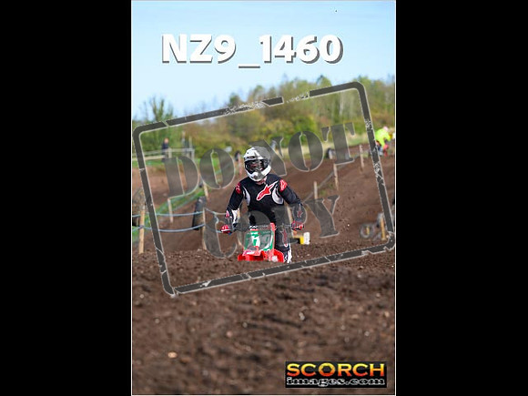 Experts-126