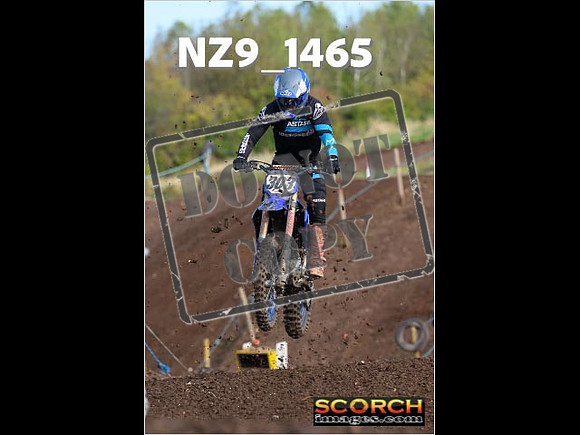 Experts-131