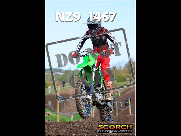 Experts-133