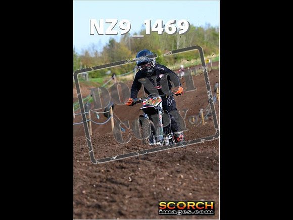Experts-134