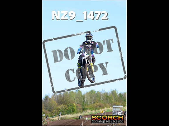 Experts-137