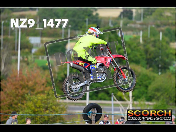 Experts-142