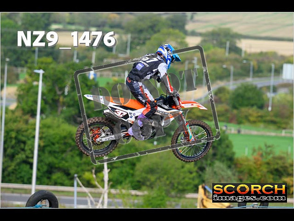 Experts-141