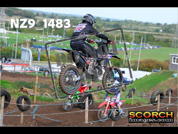 Experts-146