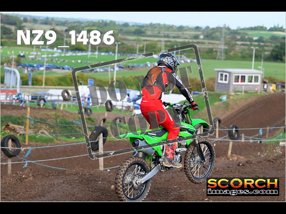 Experts-149